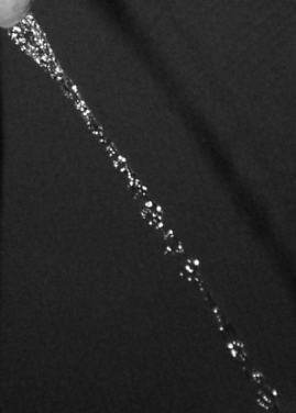 Gerd Schwanz Pissen in den Mund